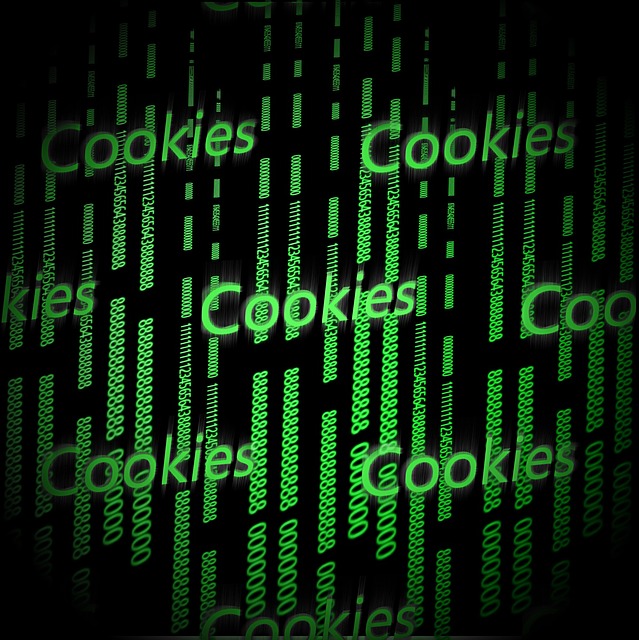 Informativa Cookies