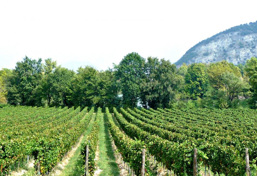6 COSE DA FARE IN FRANCIACORTA PER VIVERE UN’ESPERIENZA INDIMENTICABILE
