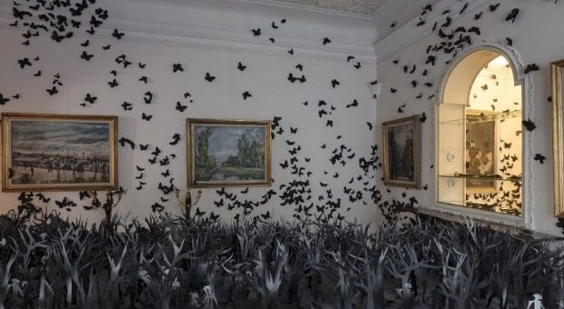 Mostra farfalle nere Carlos Amorales