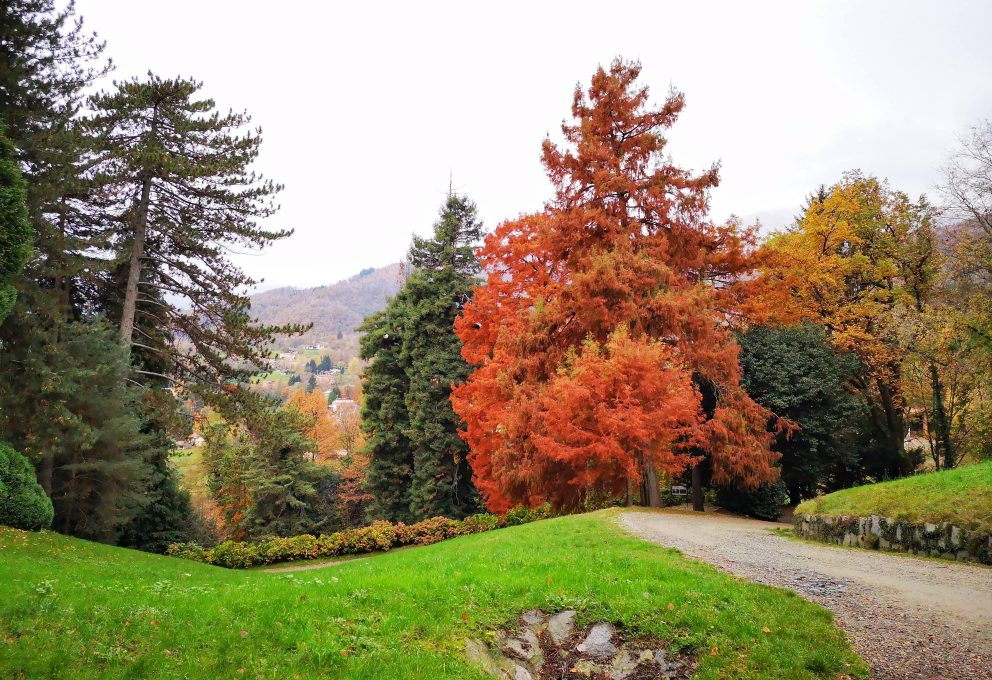 QUATTRO POSTI SPECIALI FUORI MILANO DOVE AMMIRARE IL FOLIAGE